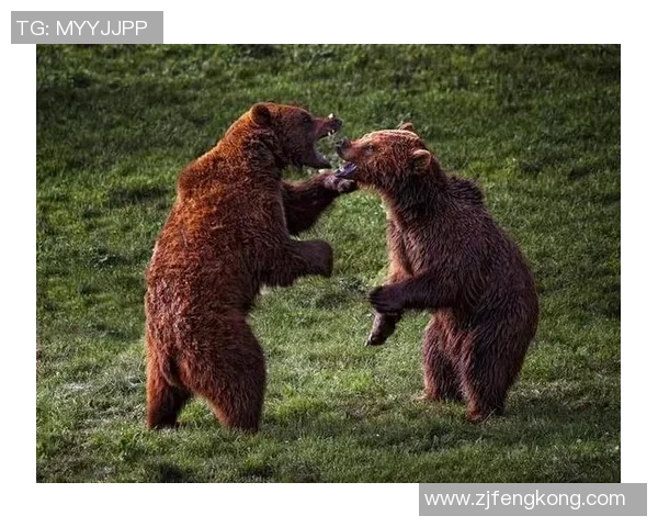 灰熊与国王精彩对决完整视频回顾及赛后分析分享 灰熊与国王精彩对决完整视频回顾及赛后分析分享